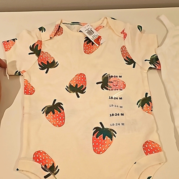 Baby girl onesies 18-24 months - Picture 3 of 4